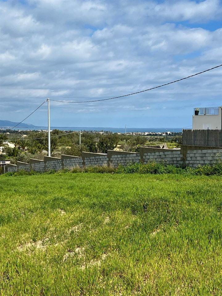 immagine annuncio 6 di 9