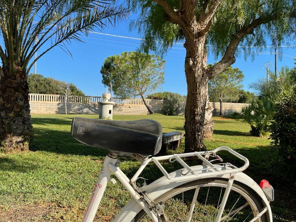 immagine annuncio 12 di 15