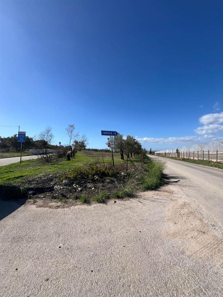 immagine annuncio 2 di 8