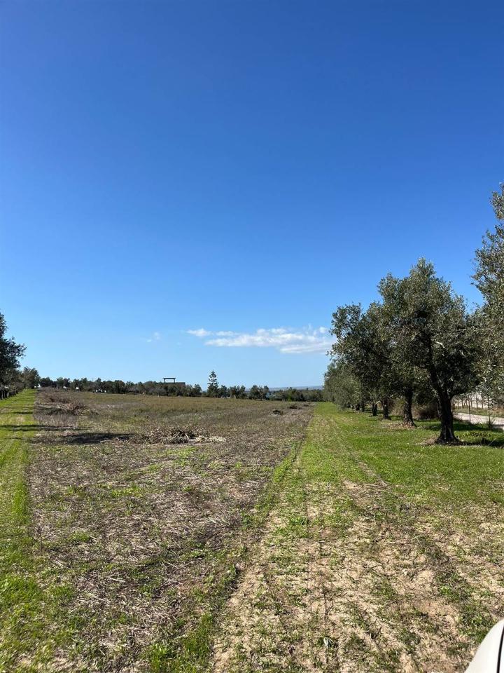 immagine annuncio 4 di 8