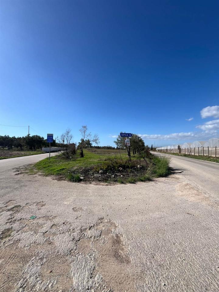 immagine annuncio 1 di 8