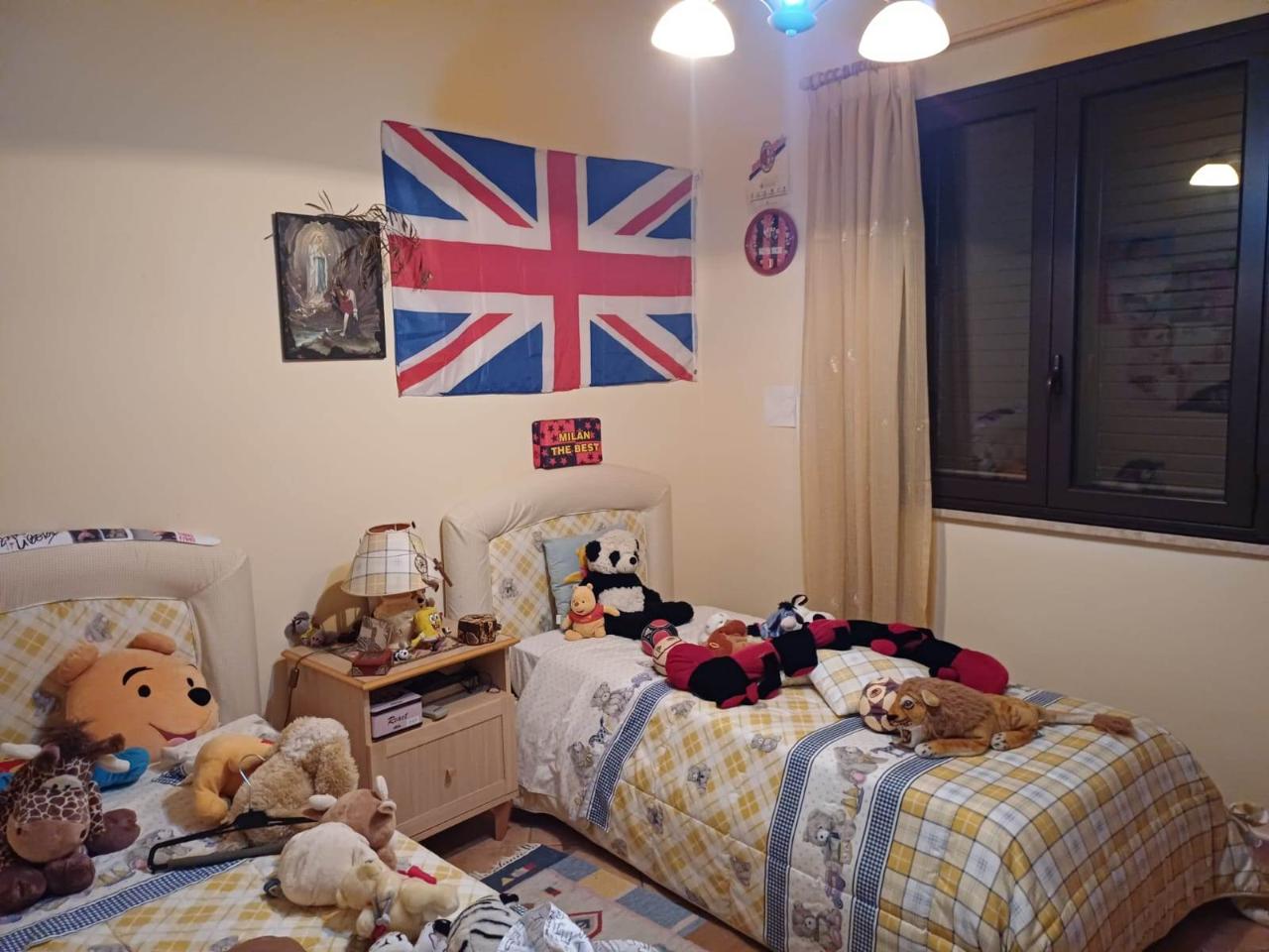 immagine annuncio 12 di 14