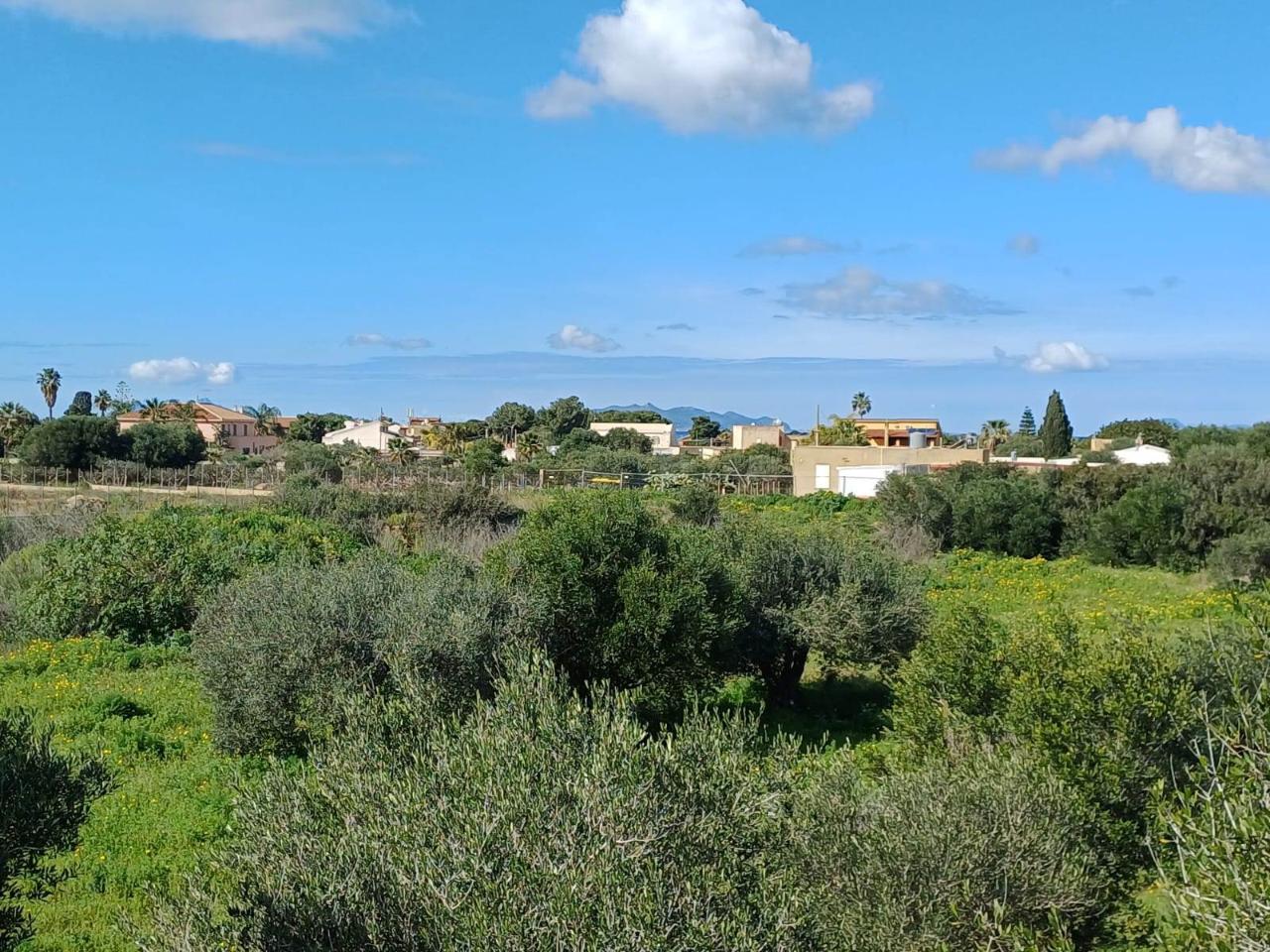 immagine annuncio 1 di 4