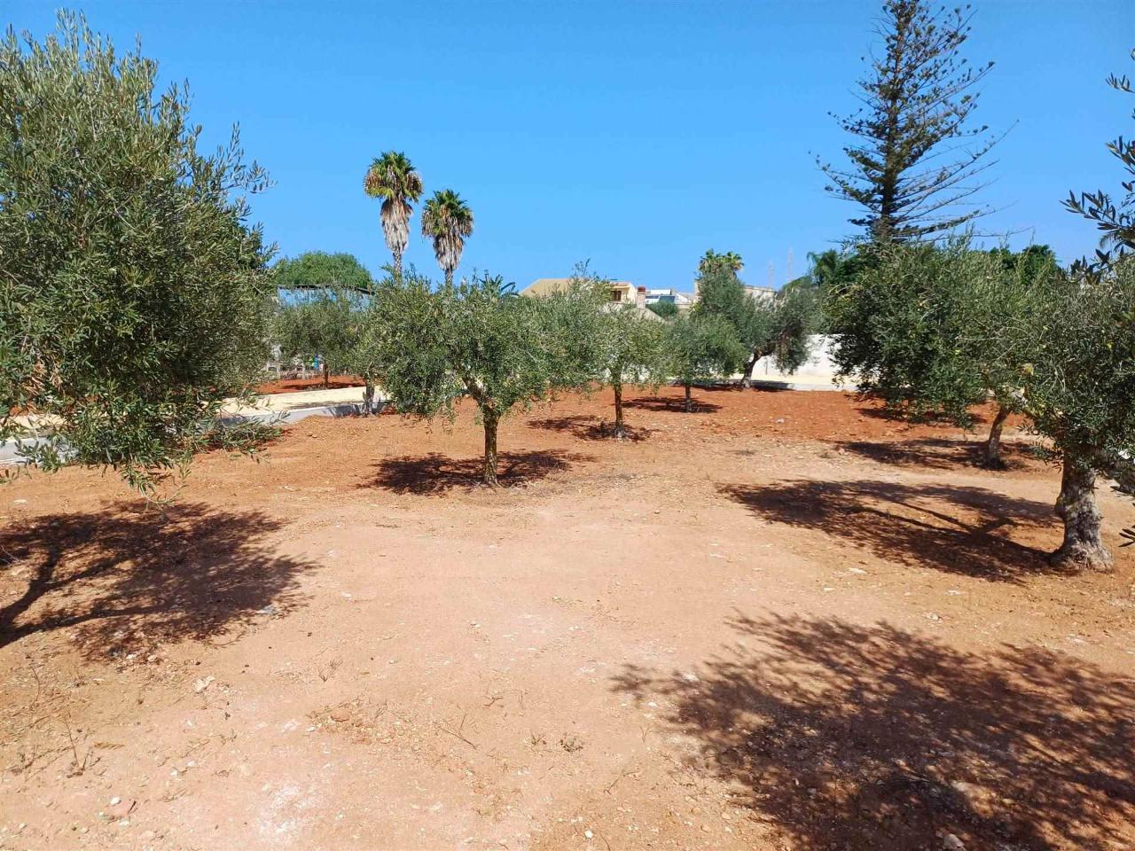 immagine annuncio 9 di 12