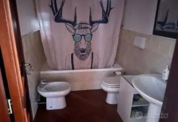 immagine annuncio 6 di 7