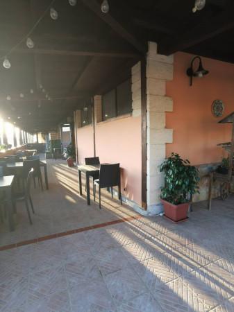 Agriturismo in Via Vaccariti, Tiriolo, {3} - Foto 2