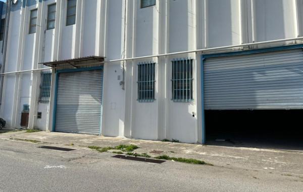 Negozio in Viale Lucrezia della Valle, Catanzaro, {3} - Foto 1