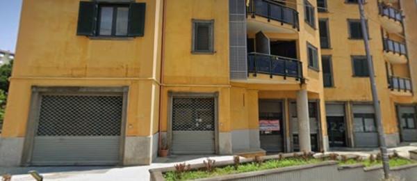 Negozio in Viale Barlaam da Seminara, Catanzaro, {3} - Foto 2