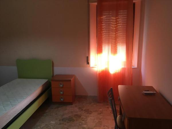 immagine annuncio 9 di 12