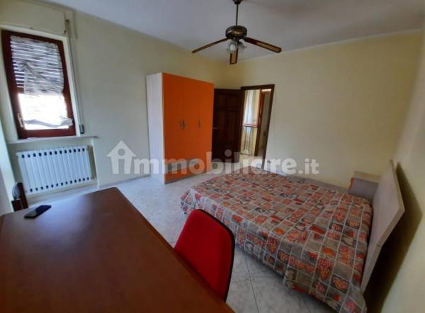 immagine annuncio 1 di 6