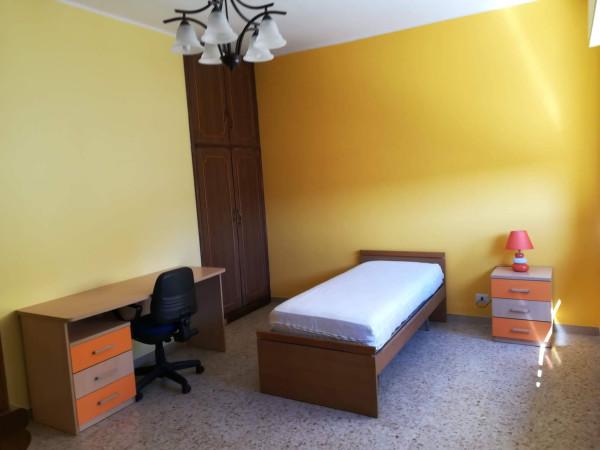 immagine annuncio 7 di 14