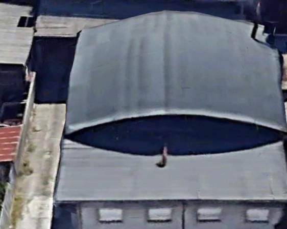 insertion image