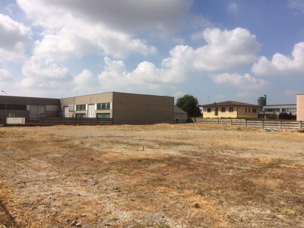 immagine annuncio 1 di 4