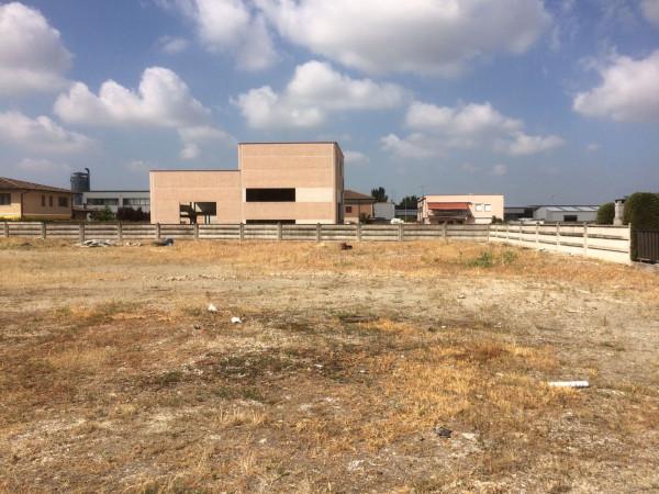 immagine annuncio 2 di 4