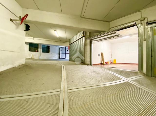 insertion image