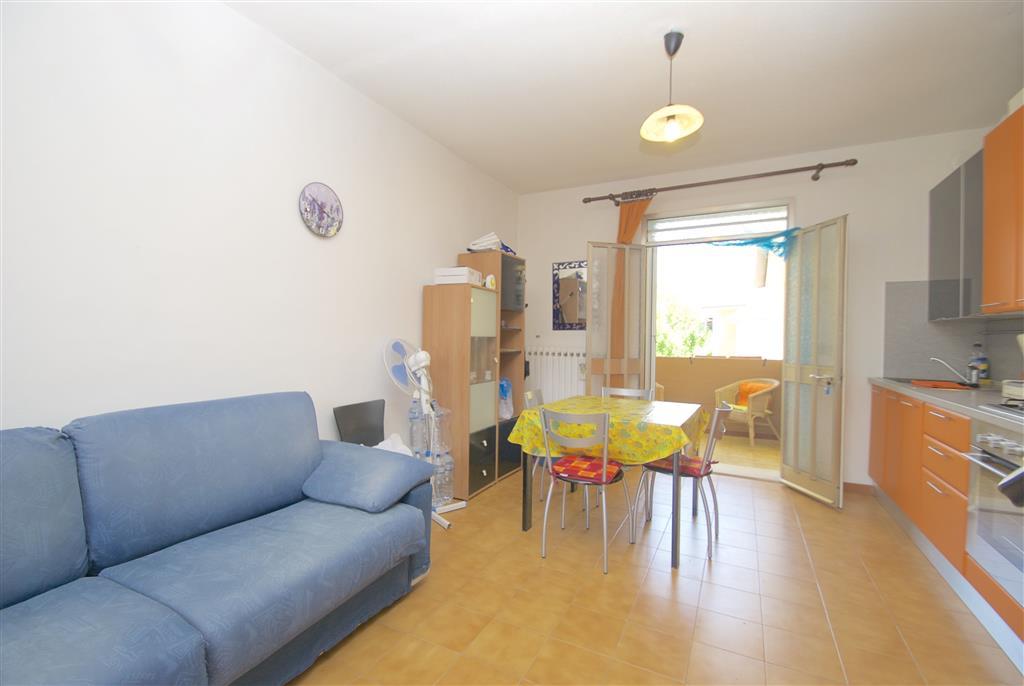 immagine annuncio 10 di 13