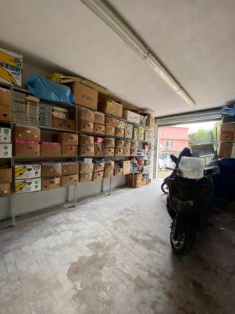 immagine annuncio 6 di 8