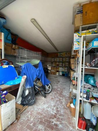 immagine annuncio 7 di 8