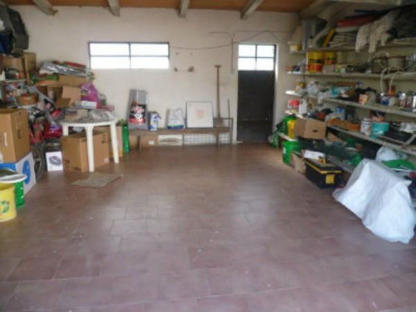 immagine annuncio 4 di 7