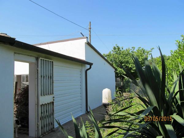 immagine annuncio 2 di 7