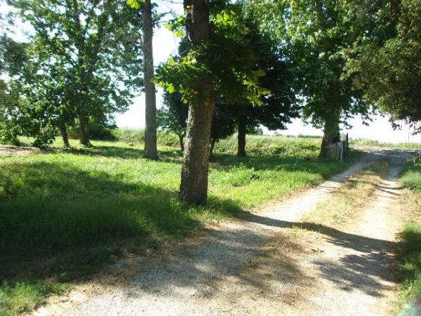 immagine annuncio 7 di 11