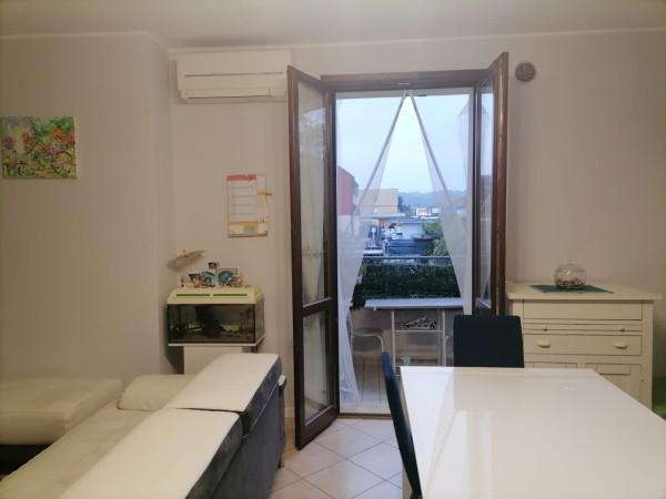 immagine annuncio 4 di 14