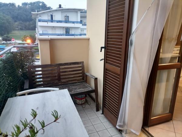 immagine annuncio 5 di 14