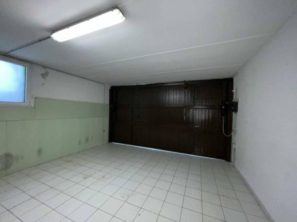 immagine annuncio 12 di 14