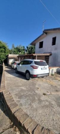 immagine annuncio 5 di 6