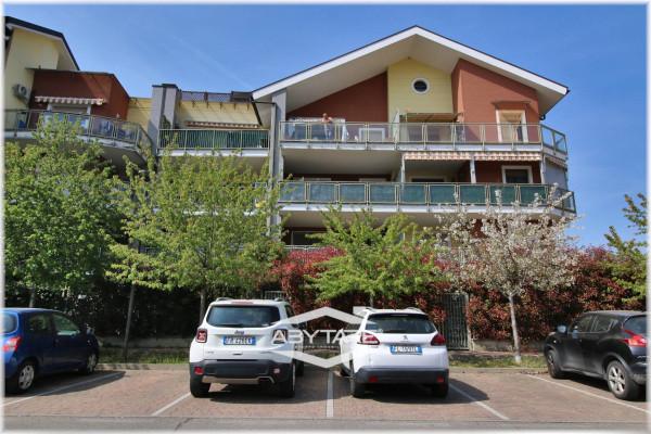 immagine annuncio 6 di 15