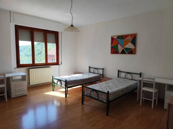 immagine annuncio 3 di 6