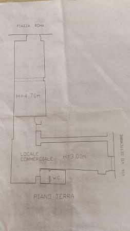 Negozio in Corso dei Pentri 66, Bojano, {3} - Planimetria 1