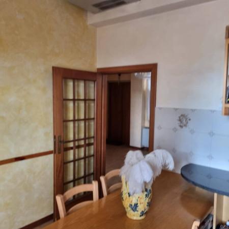 immagine annuncio 7 di 13