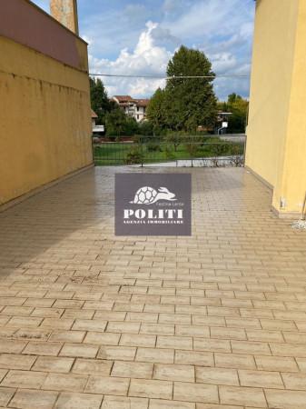 immagine annuncio 11 di 14