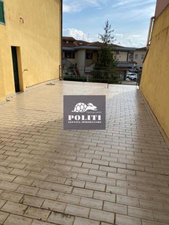 immagine annuncio 10 di 14