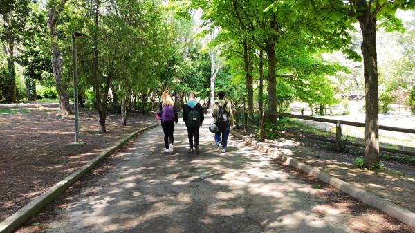 immagine annuncio 5 di 7