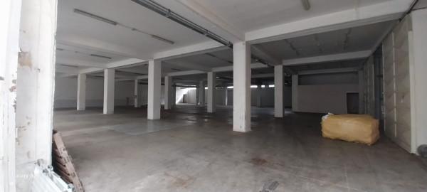 Magazzino in Svincolo Carinaro, Carinaro, {3} - Foto 1