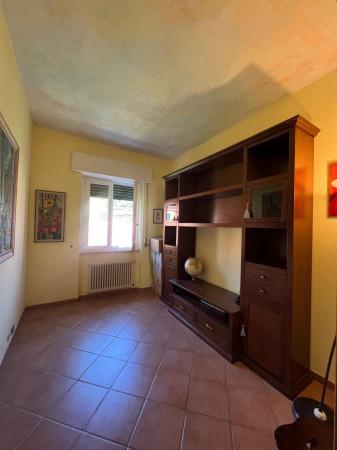immagine annuncio 4 di 7