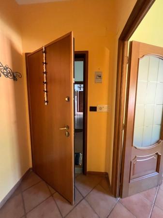 immagine annuncio 7 di 12