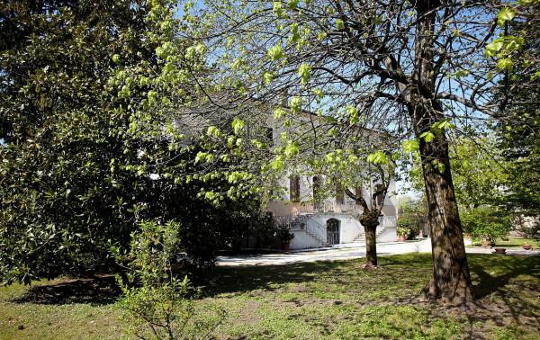 immagine annuncio 9 di 12