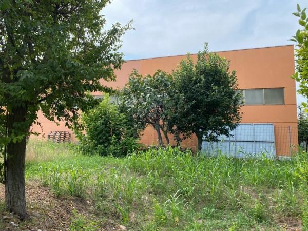Capannone in , San Giorgio Bigarello, {3} - Foto 1