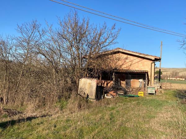 Negozio in Ponte d'Arbia S.N.C., Monteroni D'Arbia, {3} - Foto 2