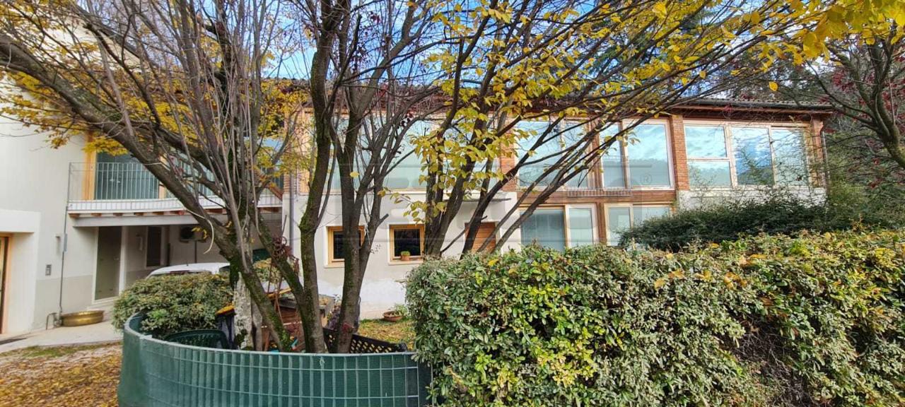 immagine annuncio 9 di 12