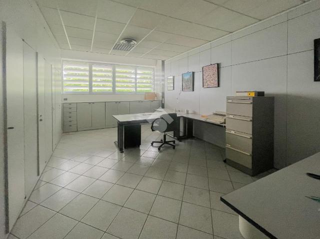 insertion image