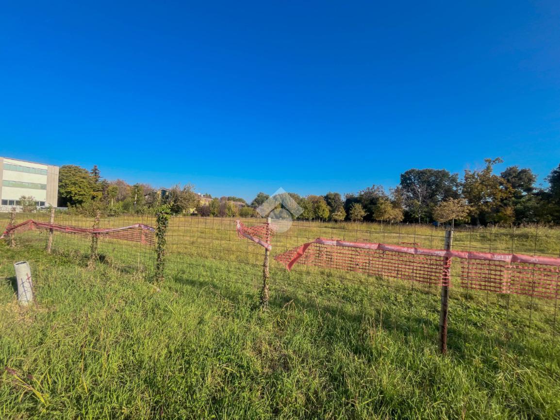 immagine annuncio 8 di 14