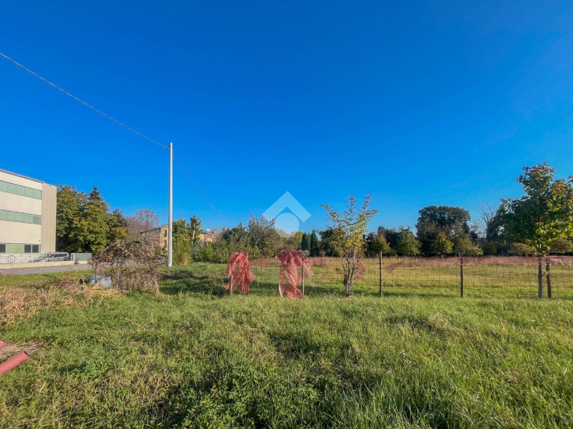 immagine annuncio 4 di 14