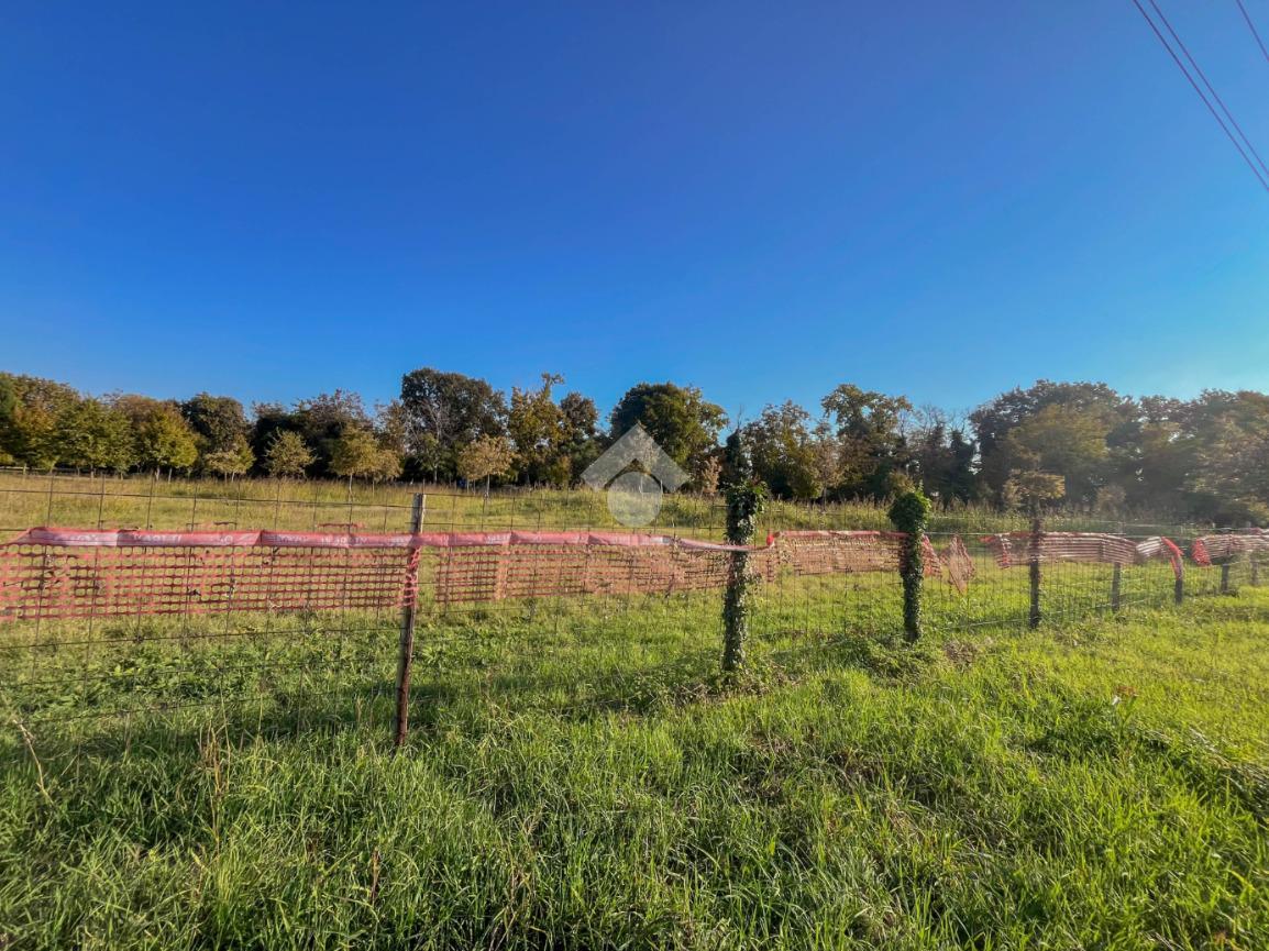 immagine annuncio 6 di 14