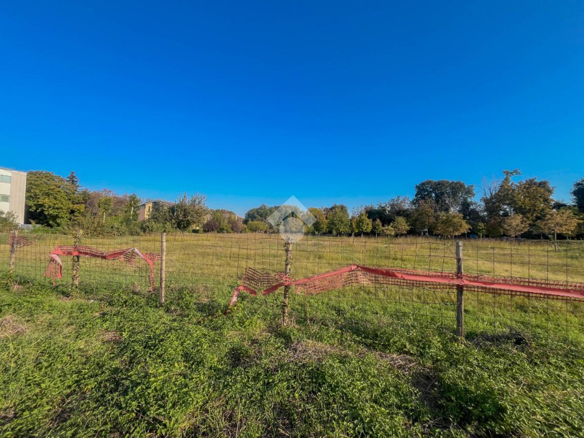 immagine annuncio 7 di 14