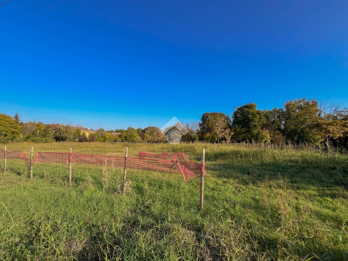 immagine annuncio 11 di 14