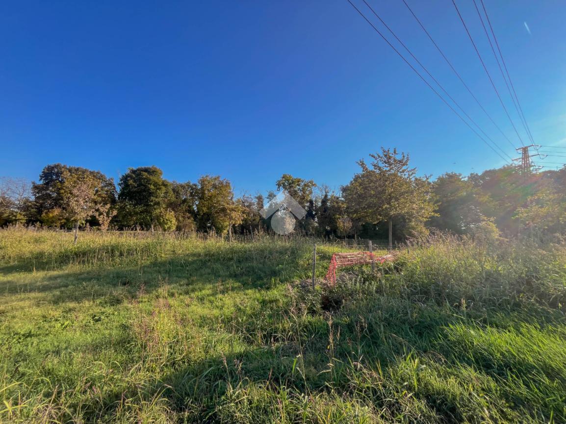 immagine annuncio 10 di 14